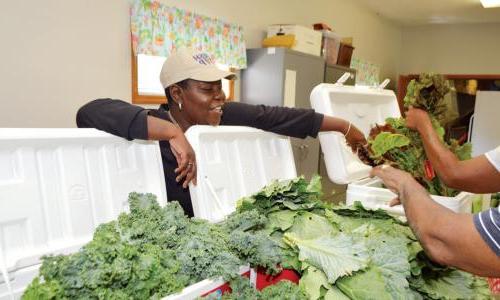 Providing healthy food to those in need